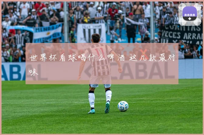 世界杯看球喝什么啤酒 这几款最对味