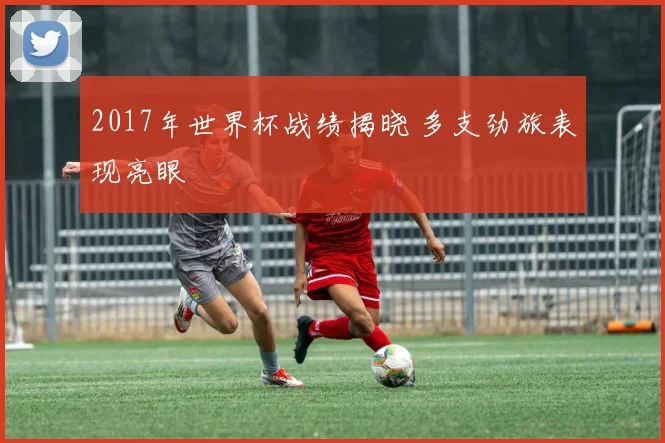 2017年世界杯战绩揭晓 多支劲旅表现亮眼