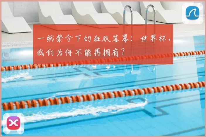 一纸禁令下的狂欢落幕：世界杯，我们为何不能再拥有？