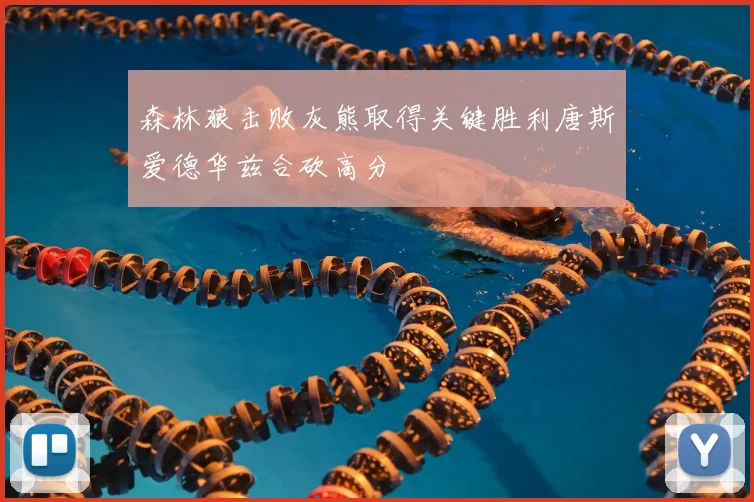 森林狼击败灰熊取得关键胜利唐斯爱德华兹合砍高分