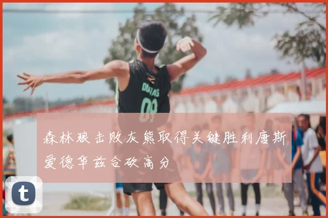 森林狼击败灰熊取得关键胜利唐斯爱德华兹合砍高分