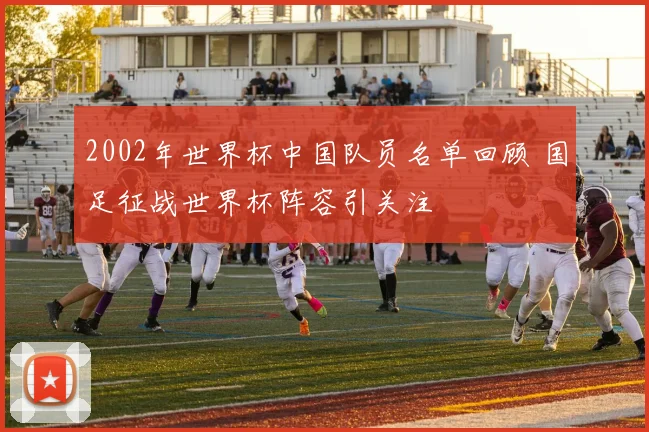 2002年世界杯中国队员名单回顾 国足征战世界杯阵容引关注