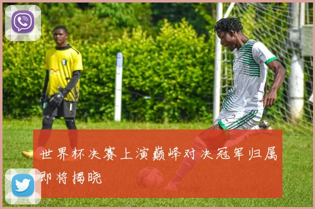 世界杯决赛上演巅峰对决冠军归属即将揭晓